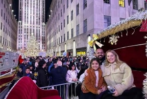 NYC: Passeio de carruagem a cavalo com luzes de Natal