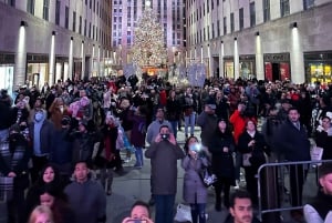 NYC: Tur med hestevogn i julelysene