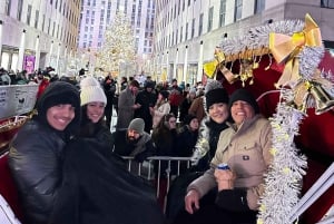 NYC: Fahrt mit der Weihnachtsbeleuchtung in der Pferdekutsche