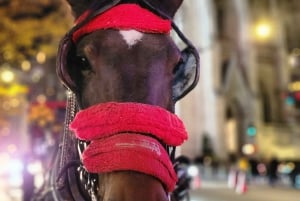 NYC: Passeio de carruagem a cavalo com luzes de Natal