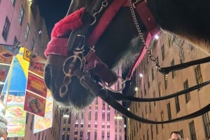 NYC: Paseo en Coche de Caballos con Luces de Navidad