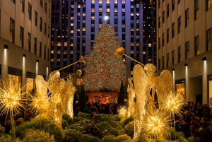 NYC: Giro in carrozza con le luci di Natale