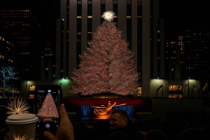 NYC: Giro in carrozza con le luci di Natale