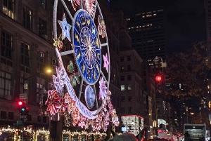 NYC: Giro in carrozza con le luci di Natale