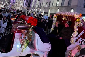 NYC: Giro in carrozza con le luci di Natale