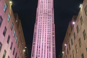 NYC: Giro in carrozza con le luci di Natale