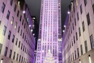 NYC: Giro in carrozza con le luci di Natale