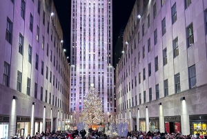 NYC: Giro in carrozza con le luci di Natale