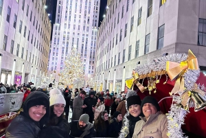 NYC: Giro in carrozza con le luci di Natale