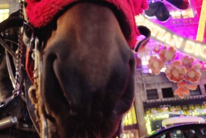 NYC: Giro in carrozza con le luci di Natale