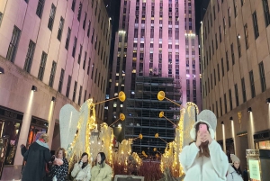 NYC: Giro in carrozza con le luci di Natale