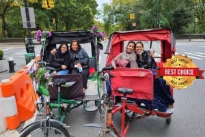 NYC: Christmas Special Movie and Hotspots Pedicab Tour