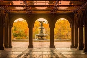 NYC: Christmas Special Movie and Hotspots Pedicab Tour