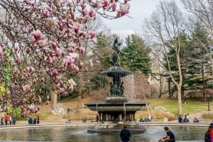 NYC: Christmas Special Movie and Hotspots Pedicab Tour