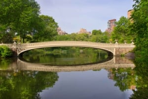 NYC: Christmas Special Movie and Hotspots Pedicab Tour