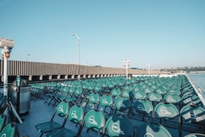 NYC: Circle Line 1.5-Hr Landmarks Skip-The-Box-Office Cruise