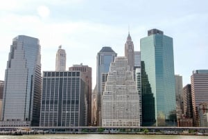 NYC: Crucero de 1 hora sin pasar por la línea Circle Line por la Estatua de la Libertad