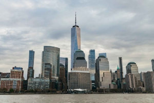 New York: crociera prioritaria tra le luci del porto
