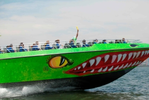 NYC: Circle Line 'The Beast' Giro in motoscafo a Midtown/Downtown