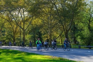 NYC: Tour a piedi completo di Manhattan di 5 ore e visita di Central Park in bicicletta