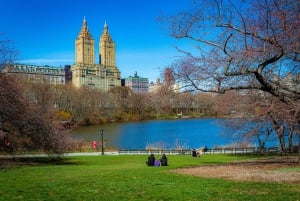 NYC: Excursão a pé completa de 5 horas por Manhattan e passeio de bicicleta pelo Central Park