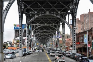 NYC: Tour de Contraste Manhattan, El Bronx, Queens y Brooklyn