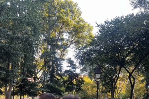 NYC Dark History Tour: Ghosts, Murders & Mafia!