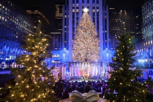 NYC: Dyker Heights ja NYC:n jouluvalot -luksusbussikierros