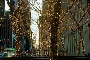 NYC: Dyker Heights ja NYC:n jouluvalot -luksusbussikierros