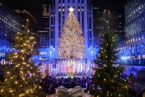 NYC: Dyker Heights och NYC Holiday Lights Tour med lyxbuss