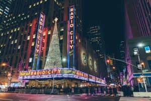 NYC Dyker Heights y las luces navideñas de NYC en autobús de lujo