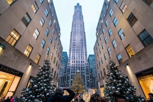 NYC : Dyker Heights et visite des lumières de Noël de NYC en bus de luxe