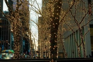 NYC: Tour di Dyker Heights e delle luci natalizie di New York in autobus di lusso