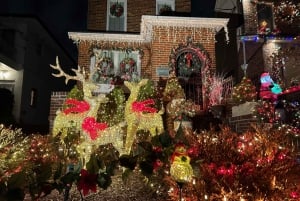 NYC: Dyker Heights julbelysningstur med Cocoa & Cookie