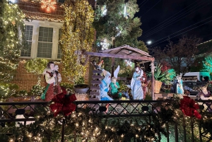 NYC: Dyker Heights julbelysningstur med Cocoa & Cookie