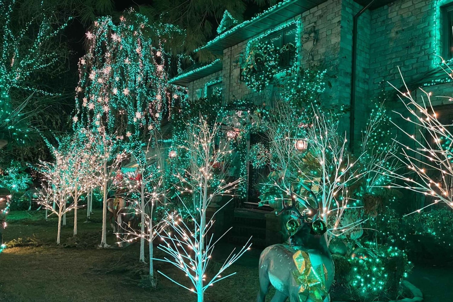 NYC: Dyker Heights Weihnachtslichter-Tour mit Guide