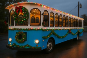 Nowy Jork: wycieczka trambusowa po Dyker Heights z bożonarodzeniowymi światłami