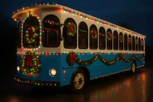 Nova Iorque: passeio de elétrico pelas luzes de Natal de Dyker Heights