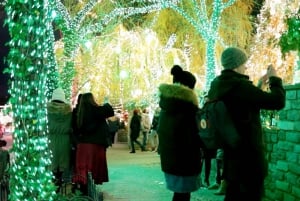 NYC: Tour a pie de las luces de Navidad de Dyker Heights