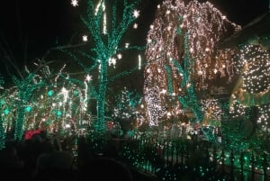 NYC : Visite à pied des lumières de Noël de Dyker Heights