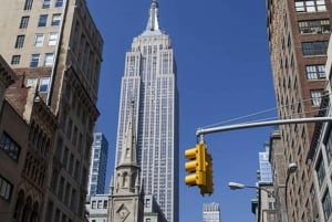 NYC: Eat 4 New York Foods & See 30 Sights Walking Tour