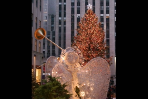 ニューヨーク経済的なクリスマス・ジョイライド・ペダブ・ツアー