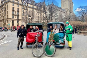 NYC: Elf & Home Alone 2 Drehorte Central Park Rikscha-Tour