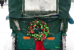 NYC: Elf & Home Alone 2 Drehorte Central Park Rikscha-Tour