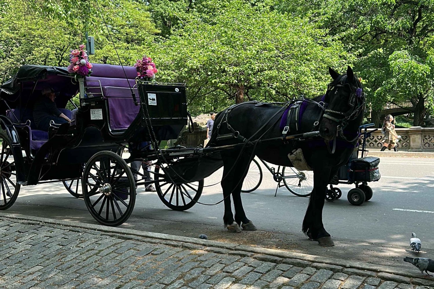 1935年からセントラルパークで行われているエンパイアステート馬車ツアー