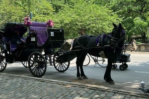 NYC Empire State Carriage Ride (Central Park tour)