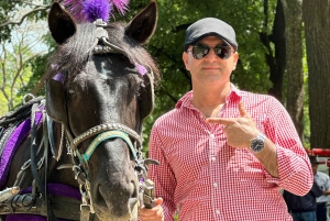 Paseos en carruajes tirados por caballos por el Empire State en Central Park desde 1935