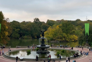 Paseos en carruajes tirados por caballos por el Empire State en Central Park desde 1935