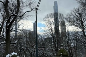 Giri in carrozza a cavallo dell'Empire State a Central Park dal 1935