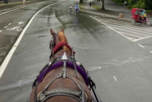 Giri in carrozza a cavallo dell'Empire State a Central Park dal 1935